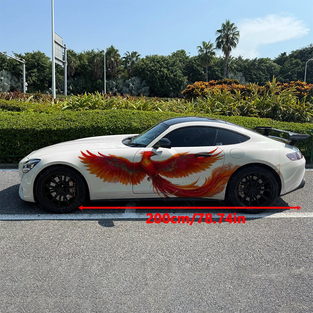 2pcs Fiery Phoenix Car Side Wr - đánh giá và giá Car Accessories Phoenix
